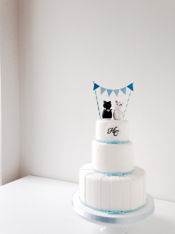 20150528-cat-cake-3